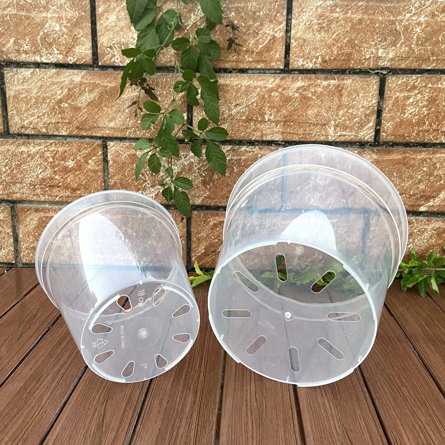 Clear Plastic Pots (Round)