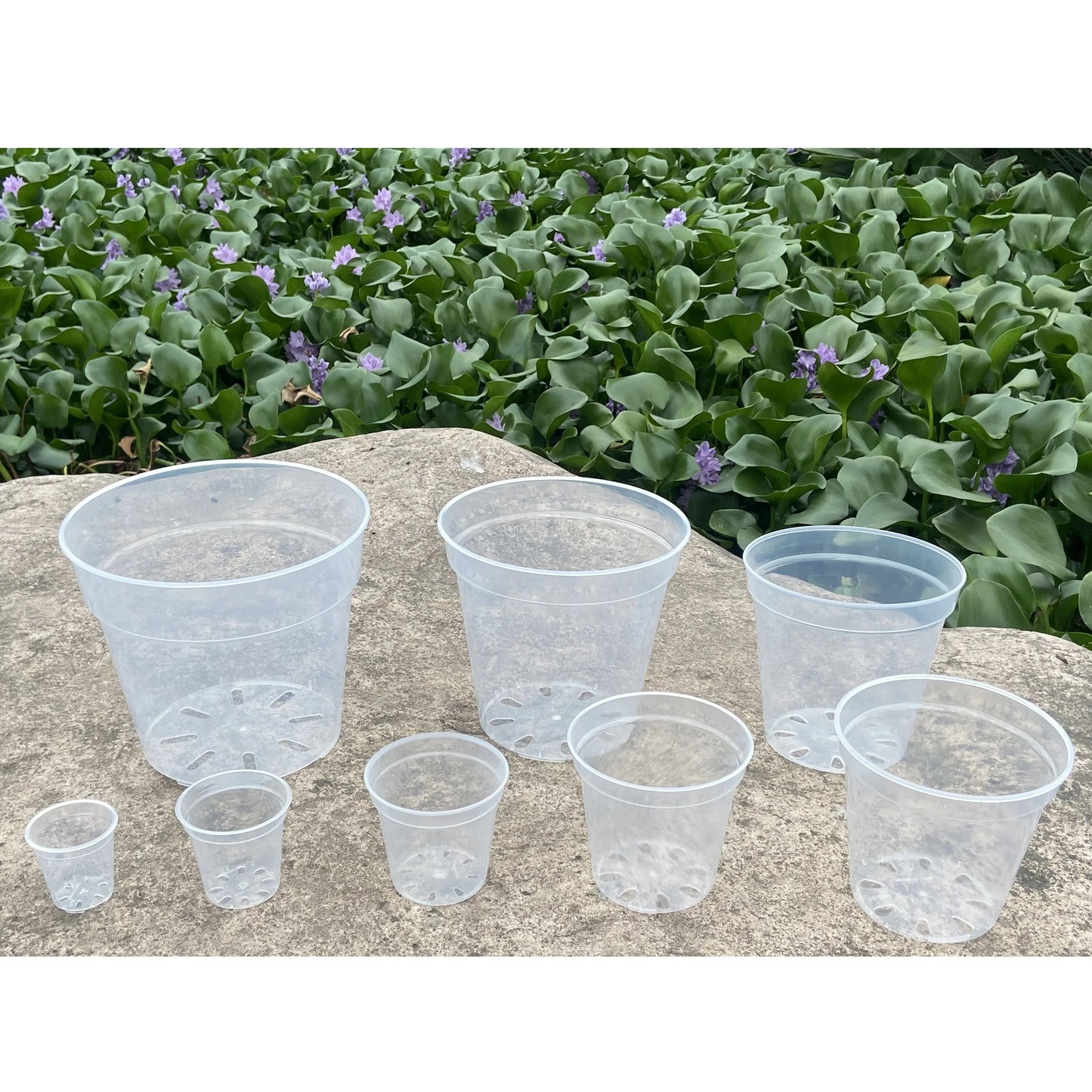 Clear Plastic Pots (Round)
