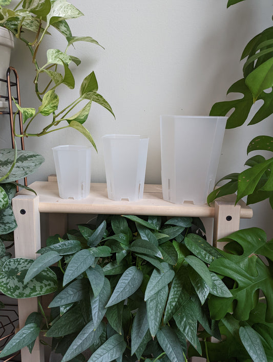 Translucent Square Pots