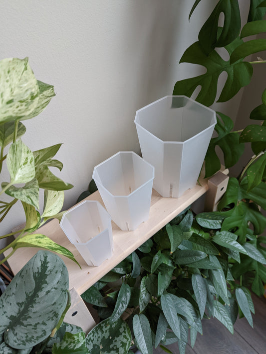 Translucent Square Pots